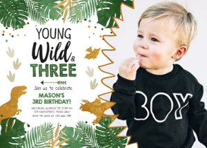 Birthday Invitation Dinosaur Young Wild Three Boy Photo design preview