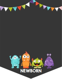 Birthday Monthly Photo Banner Little Monsters design preview