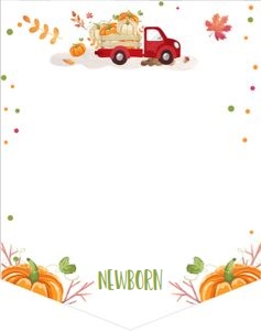 Monthly Photo Banner Pumpkin Truck Red design preview