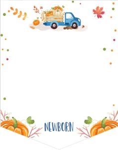 Monthly Photo Banner Pumpkin Truck Blue design preview
