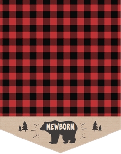 Monthly Photo Birthday Banner Lumberjack Bear design preview