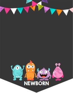 Birthday Monthly Photo Banner Little Monsters Girl design preview