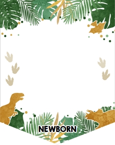 Monthly Photo Birthday Banner Gold Dinosaur Boy White design preview