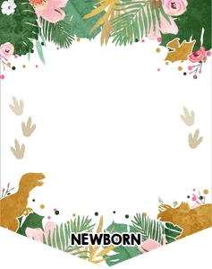 Monthly Photo Birthday Banner Gold Dinosaur Girl White design preview