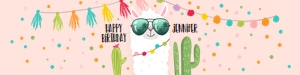 Water Bottle Labels Llama Sunglasses Pink design preview