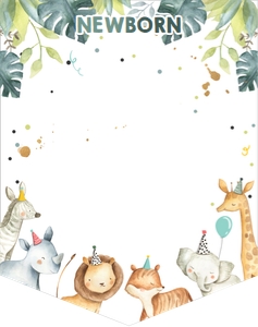 Monthly Photo Banner Safari Animals Hats Boy design preview