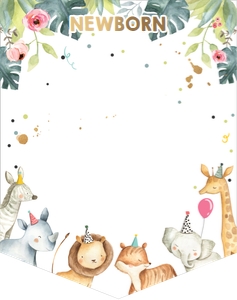 Monthly Photo Banner Safari Animals Hats Girl design preview