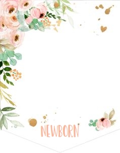 Monthly Photo Banner Miss Onederful design preview
