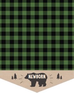Monthly Photo Banner Lumberjack Green design preview