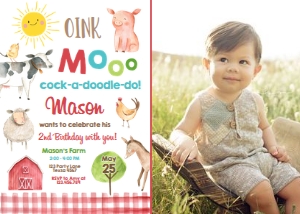 Birthday Invitation Farm Animals Sun Red Vertical - With Photo design preview