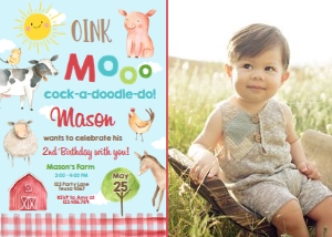 Birthday Invitation Farm Animals Sun Red Vertical Blue - With Photo design preview