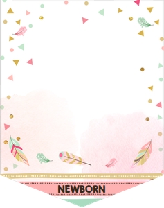 Monthly Photo Banner Tribal Feathers design preview