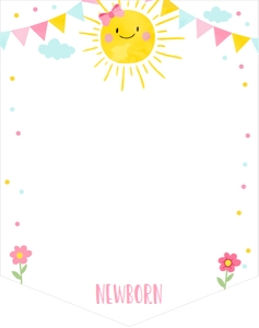Birthday Monthly Photo Banner Little Sunshine Pink design preview