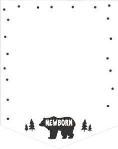 Monthly Photo Birthday Banner Adventure Bear design preview