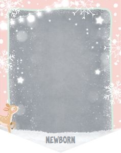 Birthday Monthly Photo Banner Winter Onderland Deer design preview