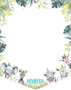 Birthday Monthly Photo Banner Party Animals Safari Boy design preview