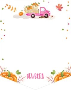 Monthly Photo Banner Pumpkin Truck Pink design preview