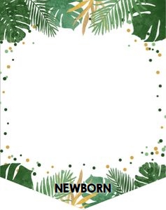 Monthly Birthday Banner Safari Leaves Boy design preview