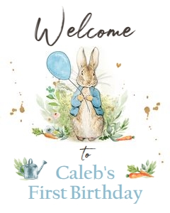 Welcome Sign Peter Rabbit Birthday design preview