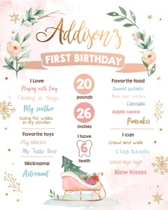 Birthday Milestone Sign Winter Sleigh design preview