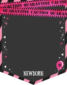Monthly Photo Banner Quarantine Party Pink design preview