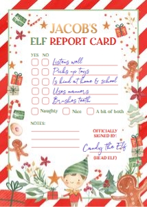 Elf Report Card Boy design preview