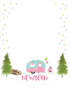 Birthday Monthly Photo Banner Happy Camper design preview