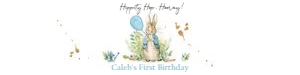 Water Bottle Labels Peter Rabbit Blue design preview