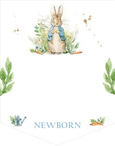 Birthday Monthly Photo Banner Peter Rabbit design preview