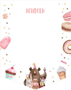 Birthday Monthly Photo Banner Sweet Animals design preview