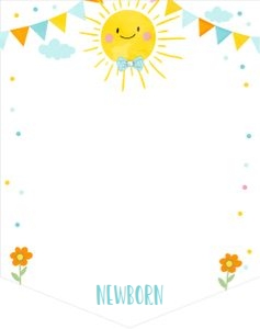 Birthday Monthly Photo Banner Little Sunshine Blue design preview