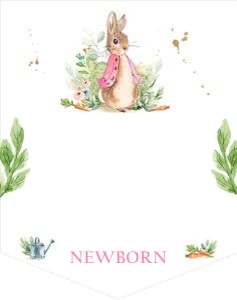 Birthday Monthly Photo Banner Flopsy Banner design preview