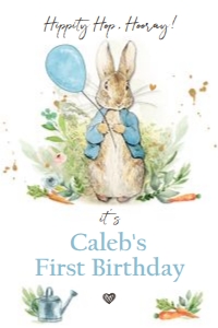 Capri Sun Labels Birthday Peter Rabbit Blue design preview