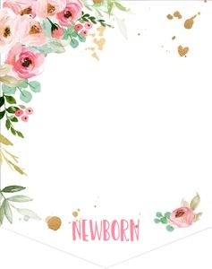 Monthly Photo Banner Miss Onederful Pink design preview