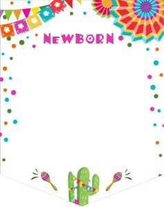 Birthday Monthly Banner Fiesta White design preview