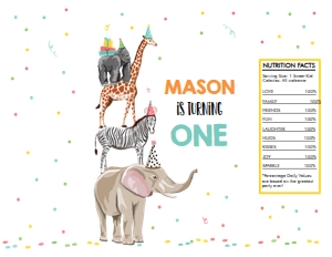 Chip Bag Party Animals Safari Boy design preview