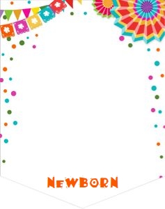 Birthday Monthly Banner Fiesta White 2 design preview