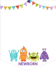 Birthday Monthly Photo Banner Little Monsters White design preview