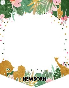 Monthly Birthday Banner Safari Animals Girl design preview