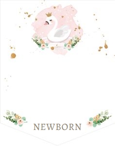 Birthday Monthly Photo Banner Swan design preview