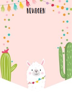 Birthday Monthly Photo Banner Llama face design preview