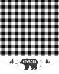 Monthly Photo Banner Lumberjack Black White design preview