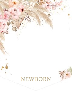 Birthday Monthly Photo Banner Pampas Grass design preview