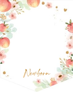 Birthday Monthly Photo Banner Peach design preview