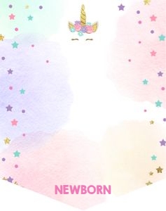 Birthday Monthly Photo Banner Unicorn design preview