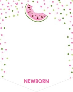 Monthly Photo Banner Watermelon Pink 0326 design preview