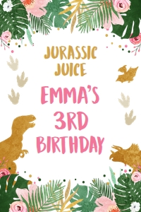 Capri Sun Label Gold Dinosaurs White Girl 0146 design preview