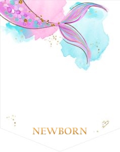 Birthday Monthly Photo Banner Mermaid Watercolor Pink Teal 0403 design preview