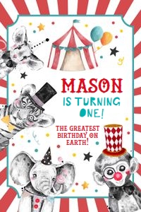 Capri Sun Labels Circus Animals Boy 0355 design preview