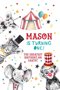 Capri Sun Labels Circus Animals Boy White 0355 design preview